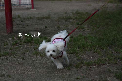 IMG_2884_R.jpg