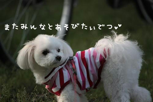 IMG_2893_R.jpg