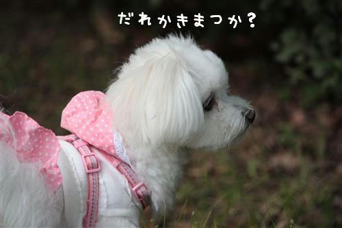 IMG_2994_R.jpg