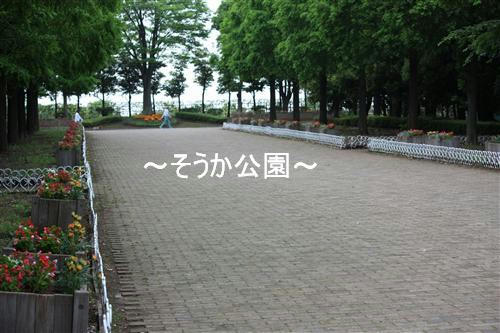 IMG_3217_RR.jpg