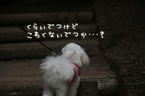 IMG_3113_RR.jpg