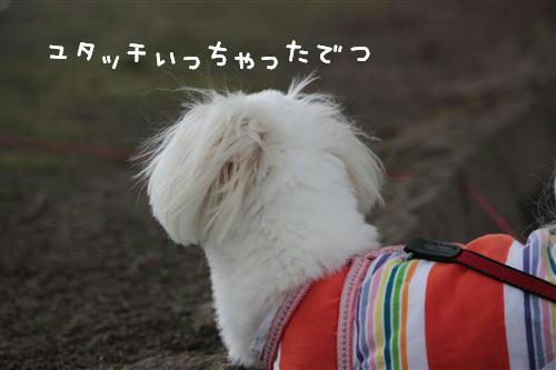 IMG_3138_RR.jpg