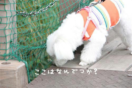 IMG_3151_RR.jpg
