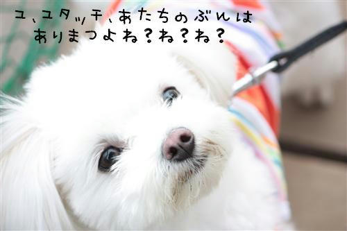IMG_3177_RR.jpg