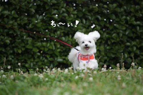 IMG_3188_RR.jpg