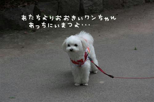 IMG_3215_RR.jpg
