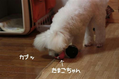 IMG_2639_RR.jpg