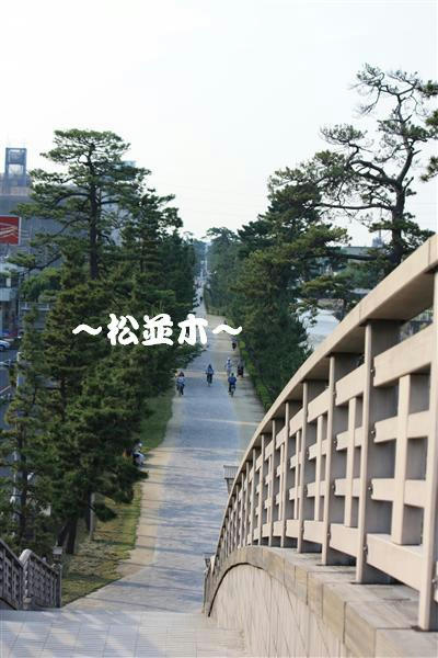 IMG_3316_RR.jpg