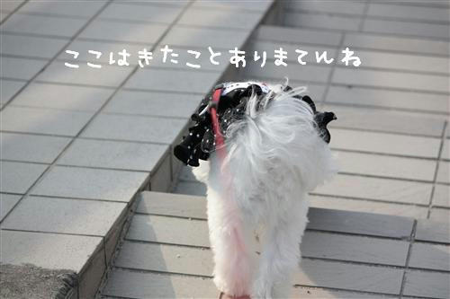 IMG_3318_RR.jpg