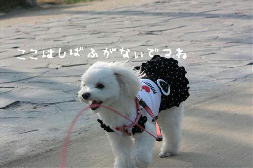 IMG_3322_RR.jpg
