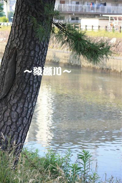 IMG_3341_RR.jpg