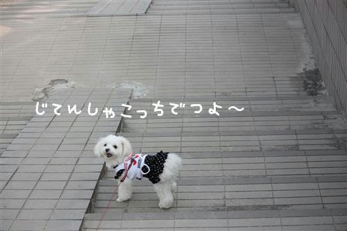 IMG_3347_RR.jpg