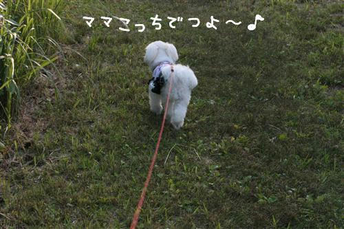 IMG_3352_RR.jpg