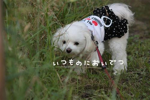 IMG_3379_RR.jpg
