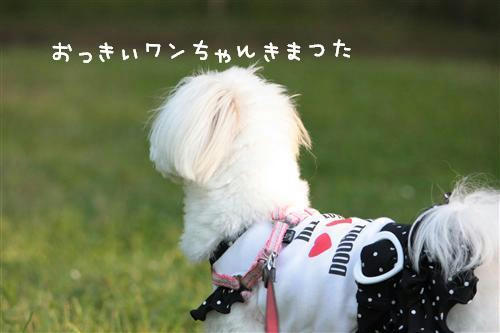IMG_3372_RR.jpg