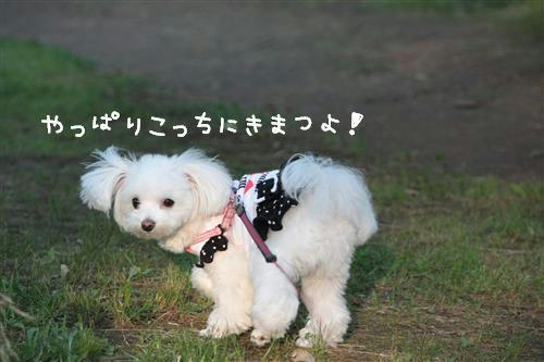 IMG_3378_RR.jpg