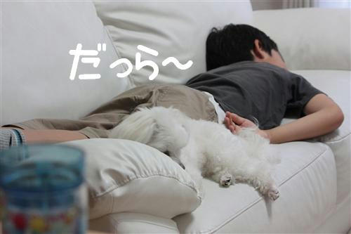 IMG_3559_RR.jpg