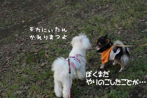 IMG_3730_RR.jpg