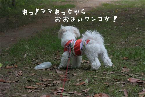 IMG_3849_RR.jpg