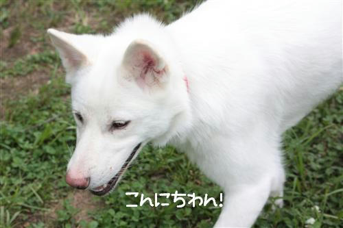 IMG_3843_RR.jpg