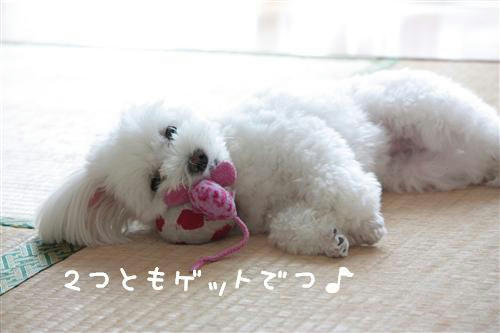 IMG_3965_RR.jpg