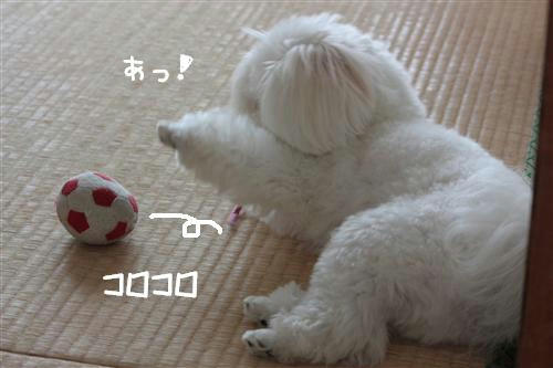 IMG_3974_RR.jpg