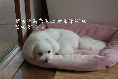 IMG_4175_RR.jpg