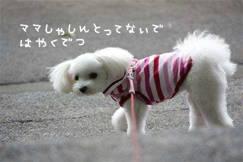 IMG_4229_RR.jpg