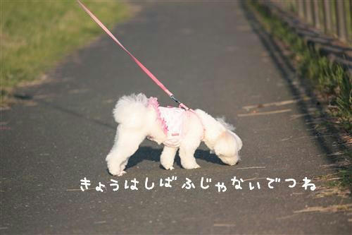 IMG_4244_RR.jpg