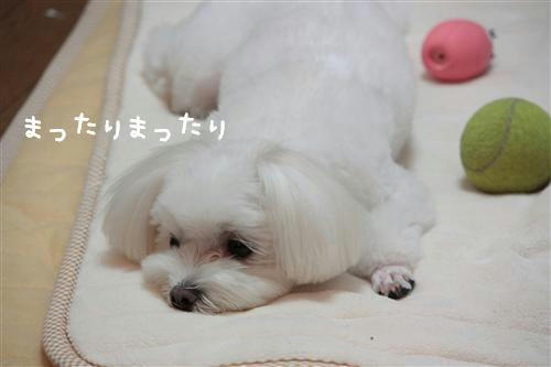 IMG_4330_RR.jpg