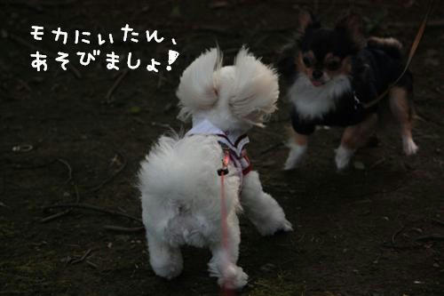 IMG_4476_RR.jpg