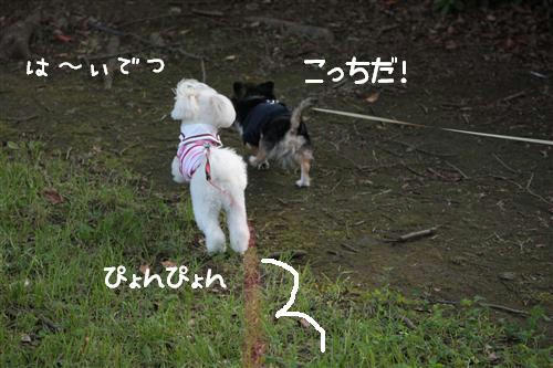 IMG_4479_RR.jpg