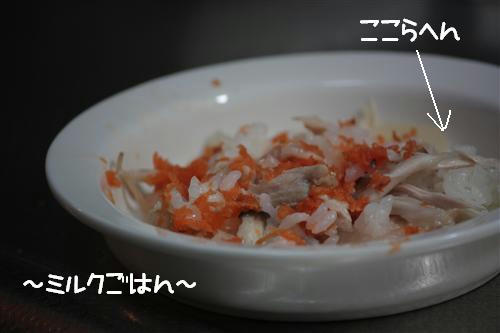 IMG_5124_RR.jpg