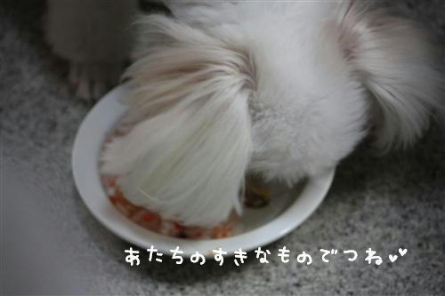 IMG_5127_RR.jpg