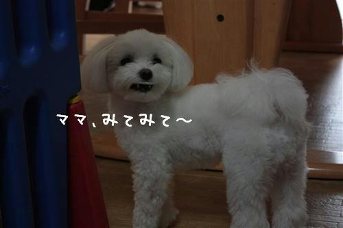 IMG_4698_RR.jpg