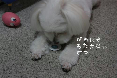 IMG_4722_RR.jpg