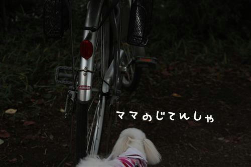 IMG_5693_RR.jpg