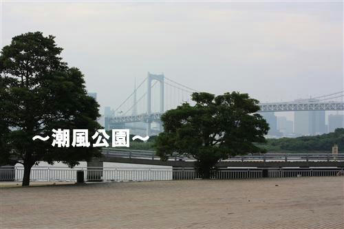 IMG_6101_RR.jpg