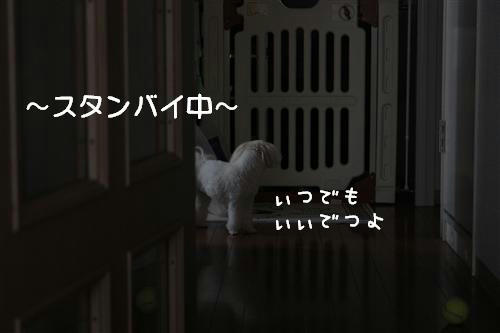 IMG_6262_RR.jpg