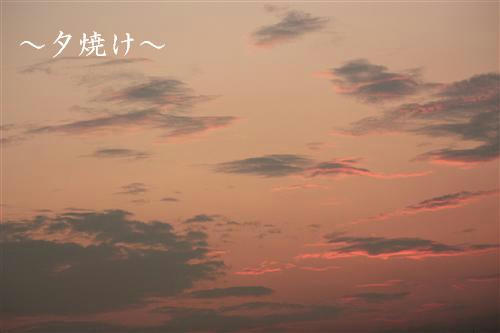 IMG_6315_RR.jpg