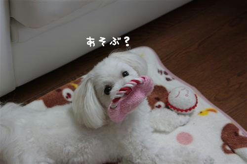 IMG_6317_RR.jpg