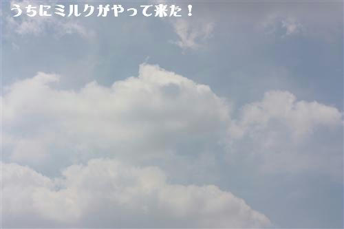 IMG_6381_RR.jpg