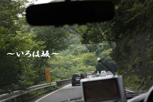 IMG_6446_RR.jpg