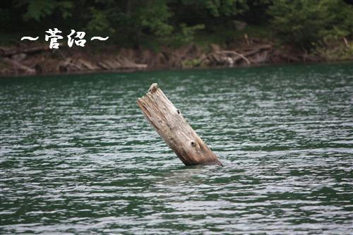 IMG_6494_RR.jpg