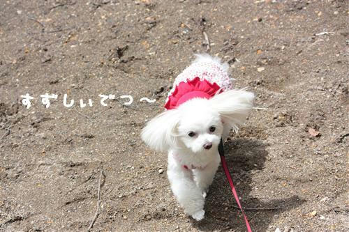 IMG_6484_RR.jpg