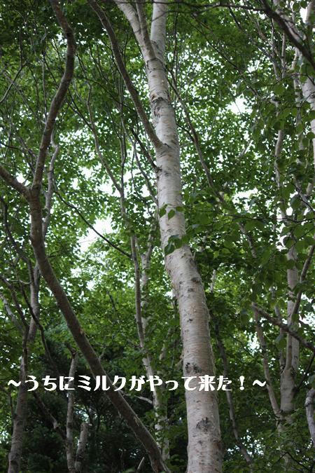 IMG_6588_RR.jpg