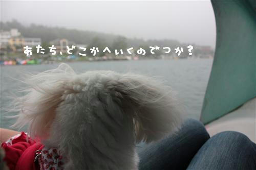 IMG_6627_RR.jpg