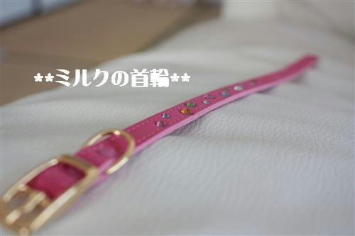 IMG_6807_RR.jpg
