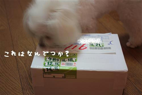 IMG_6839_RR.jpg