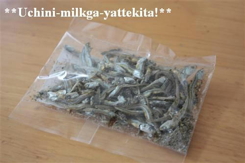 IMG_6866_RR.jpg